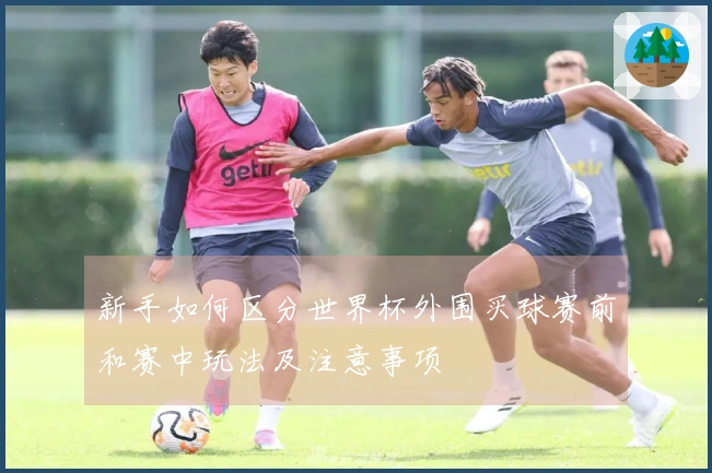 新手如何区分世界杯外围买球赛前和赛中玩法及注意事项