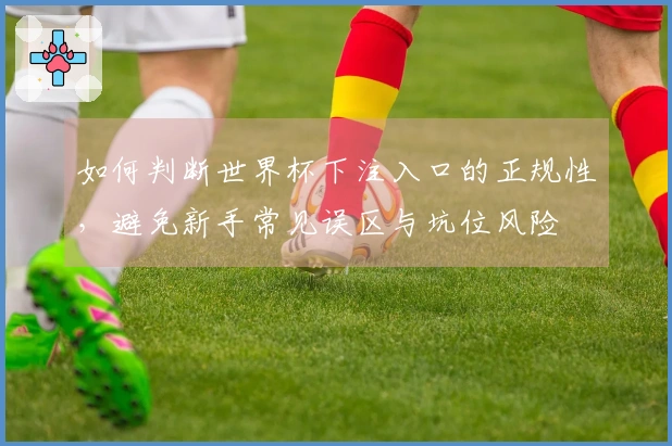 如何判断世界杯下注入口的正规性，避免新手常见误区与坑位风险