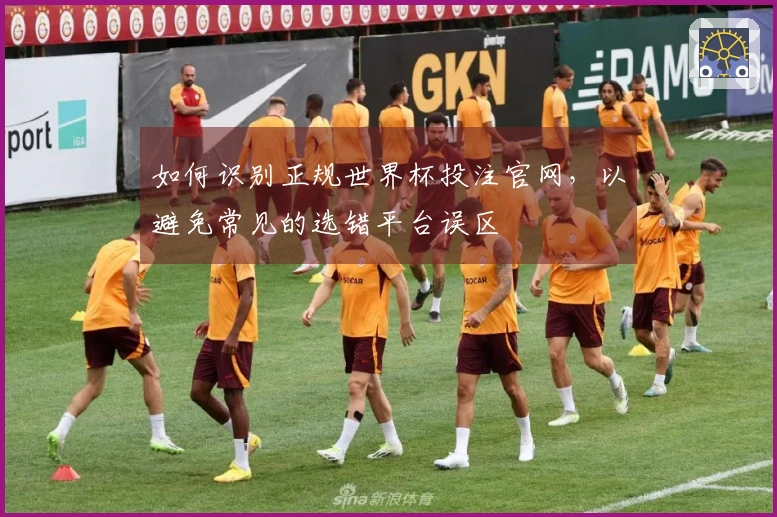 如何识别正规世界杯投注官网，以避免常见的选错平台误区