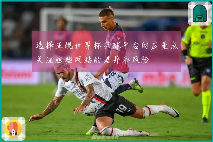 选择正规世界杯买球平台时应重点关注这些网站的差异和风险