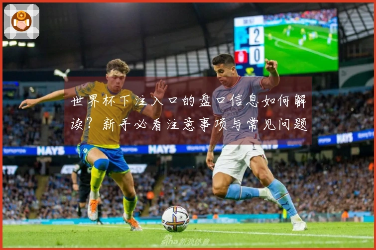 世界杯下注入口的盘口信息如何解读？新手必看注意事项与常见问题解答